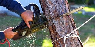 Best Lawn Irrigation Installation and Maintenance  in Kirtland Af, NM