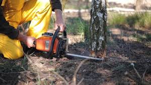 Best Lawn Grading and Leveling  in Kirtland Af, NM