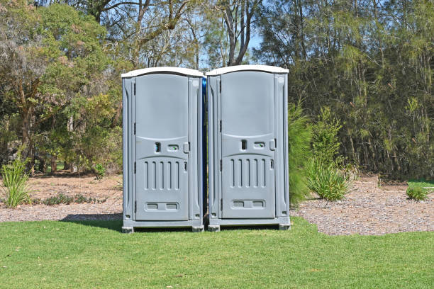Best Lawn Pest Prevention  in Kirtland Af, NM